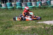 20110501_ales_agnus (3024)